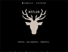 Tablet Screenshot of antlur.co